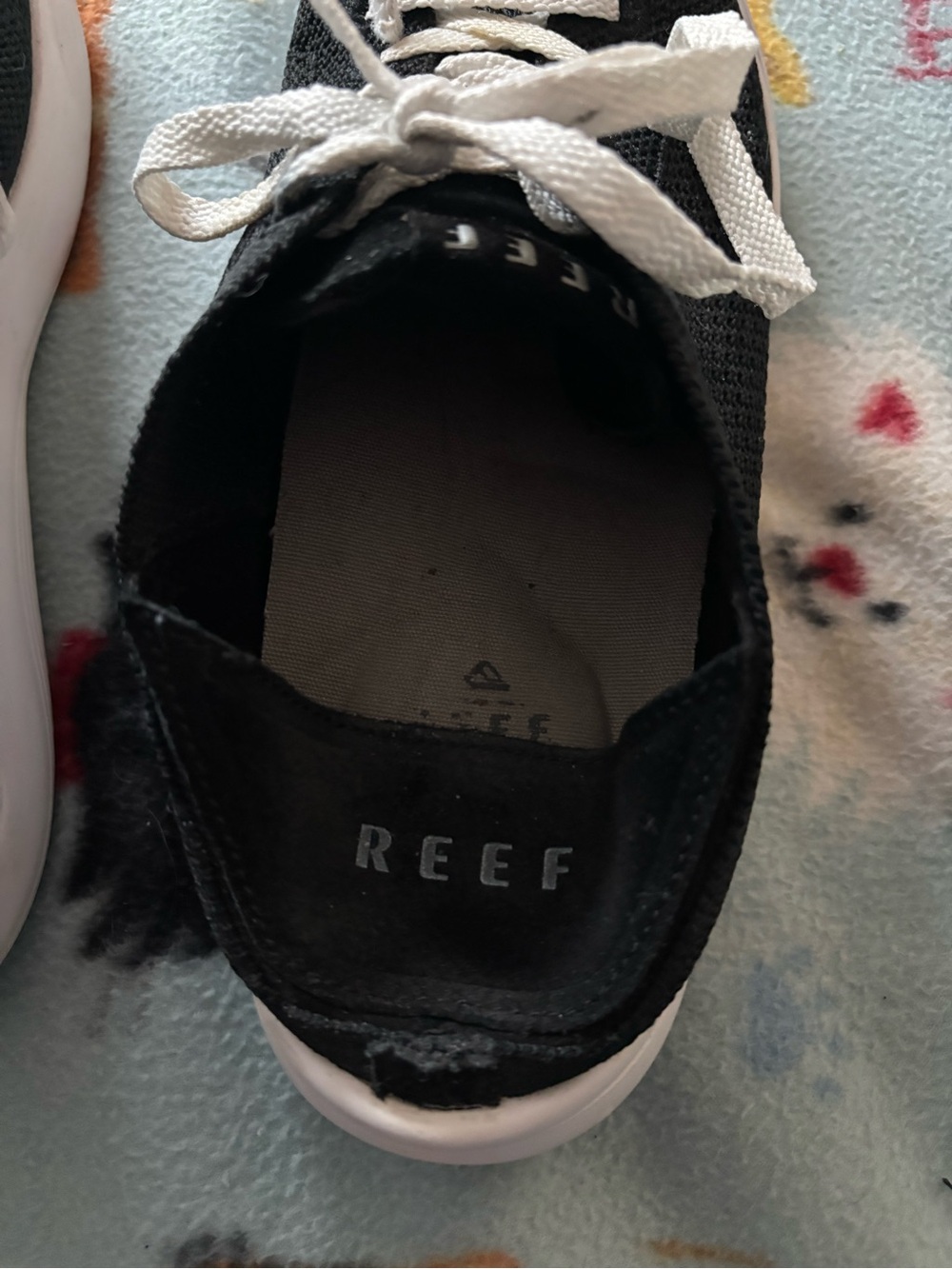 Reef - Picture 5 of 7